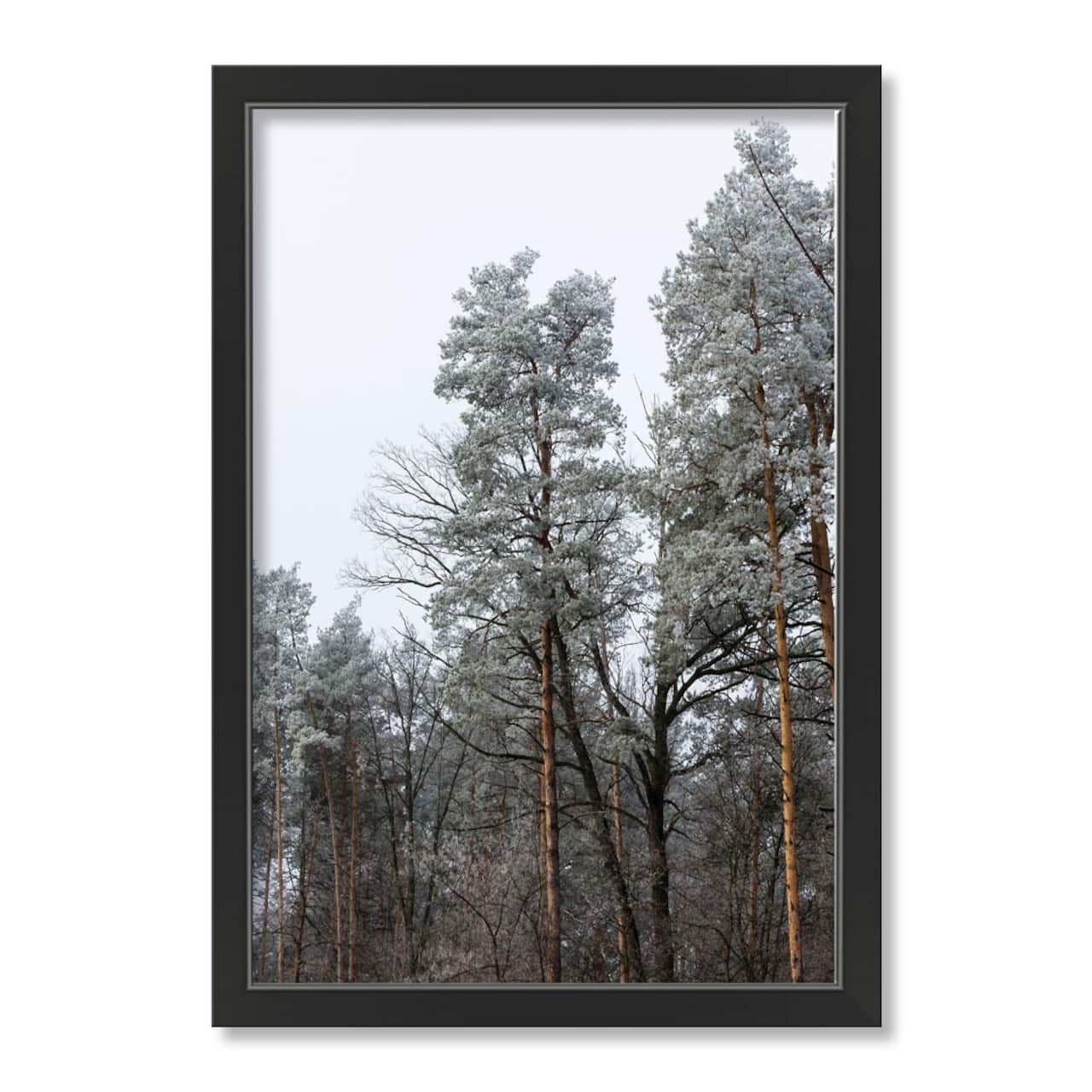 Dusty Trees Black Framed Print Under Plexiglass